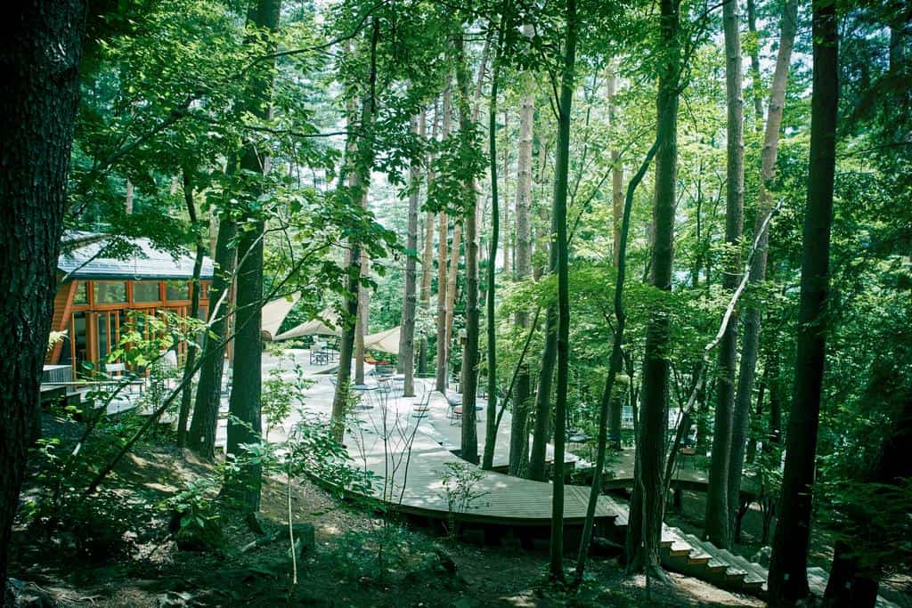Forest camping at Hoshinoya Fuji