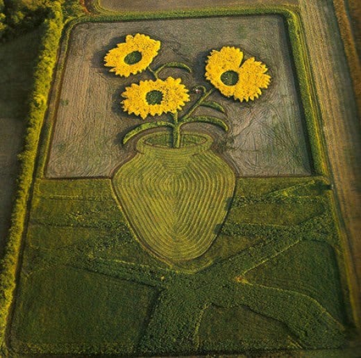 Crop art of Van Gogh painting