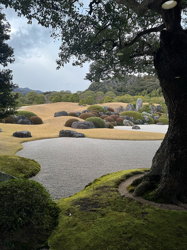 adachi-view-from-window