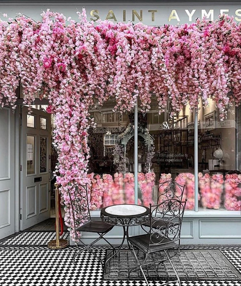 exterior-with-wispy-flowers-all-around