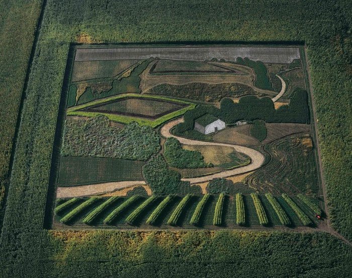 land-crop-art-by-stan-herd
