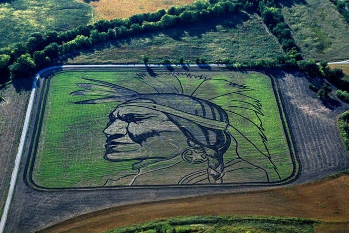 land-crop-art-by-stan-herd