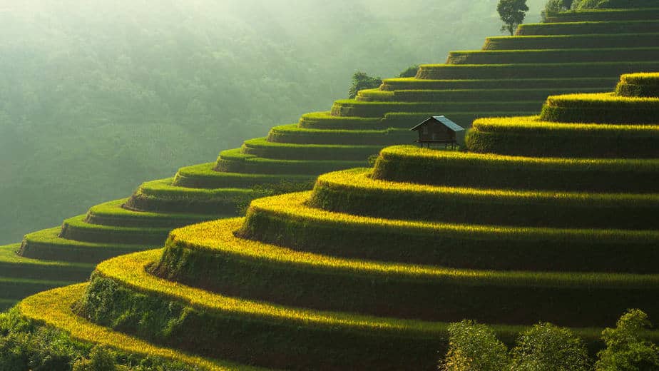 House on a Vietnam terrace rice field