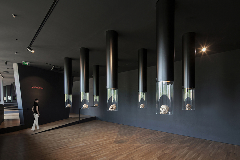 skulls on display