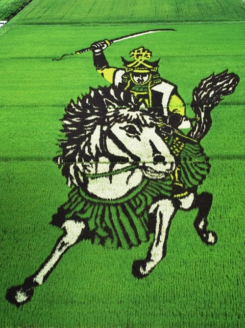 tanbo crop art-japanese-rice-field-art