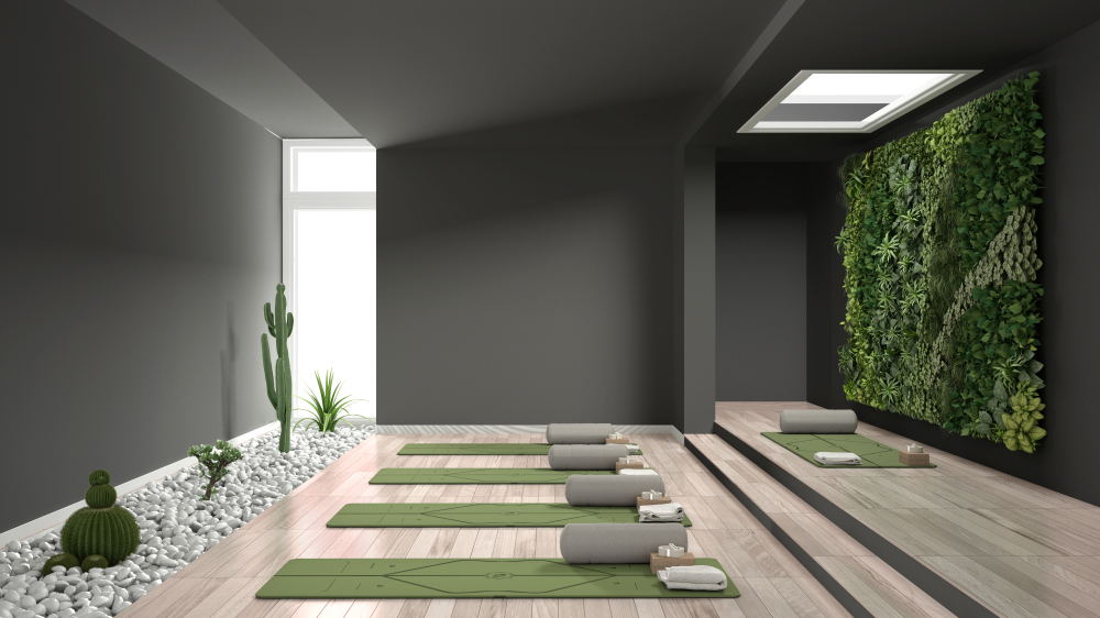 yoga studio interior design, open space with mats